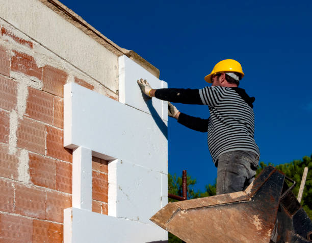 Best Local Insulation Services  in Lincoln, AL