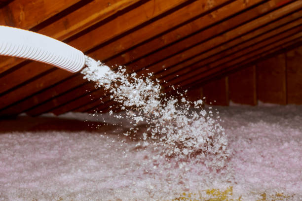 Insulation Inspection Services in Lincoln, AL