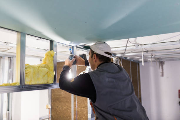 Best Insulation Repair Services  in Lincoln, AL