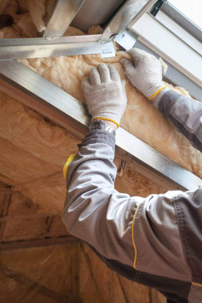 Best Insulation for New Construction  in Lincoln, AL