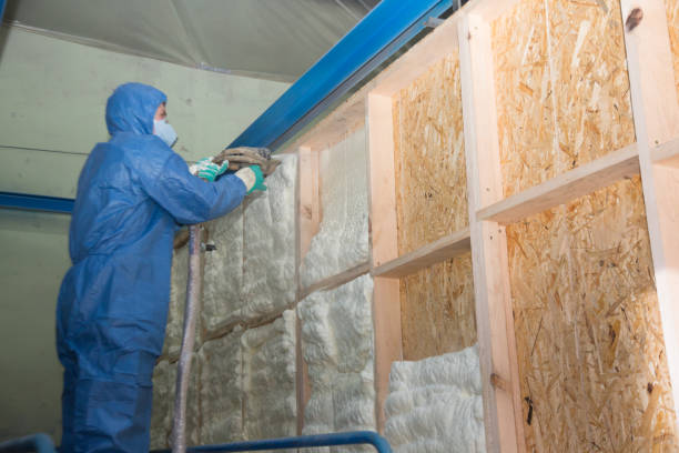 Best Crawl Space Insulation  in Lincoln, AL